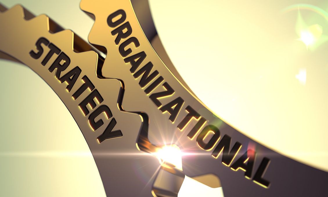 Consulenze per organizzazione aziendale