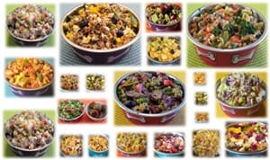 examples of homemade recipes for small dogs