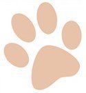 dog paw - light pink