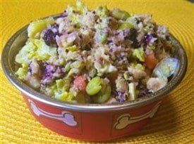 home cooked meal for Maltipoo dog