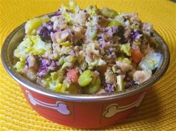 home cooked meal for Maltipoo dog