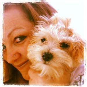 Maltipoo 6 month puppy