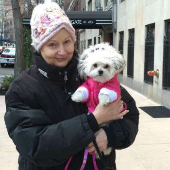 Woman holding Maltipoo