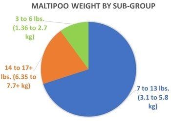 Maltipoo Weight Pie Chart Sub-group