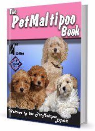 Maltipoo book