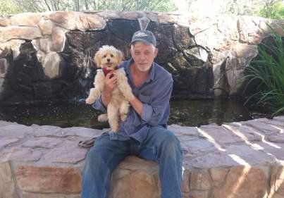 8 month old Maltipoo
