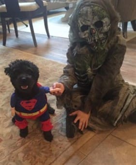 superhero pet costume
