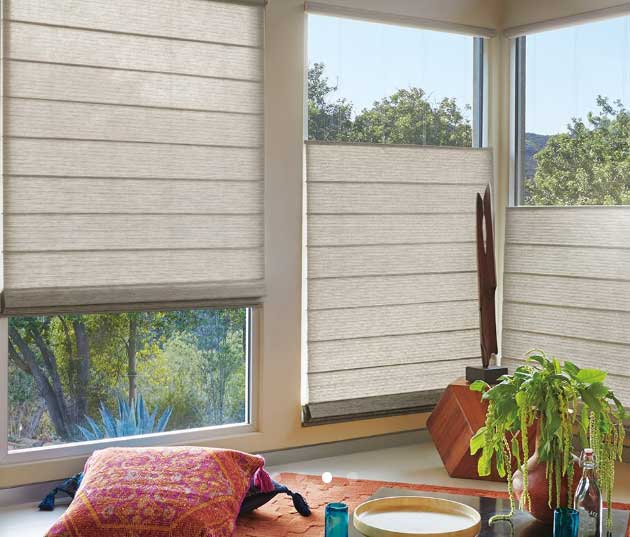Modern Woven Shades — Belgrade, MT — Blind Guy of Butte