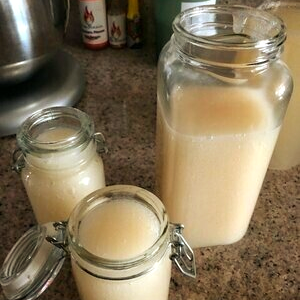 Three glass jars filled with a pale creamy liquid on a kitchen counter