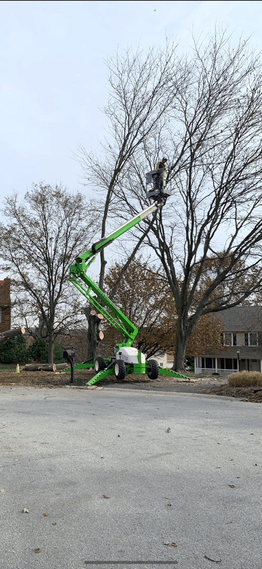 Tree Trimming Delaware County