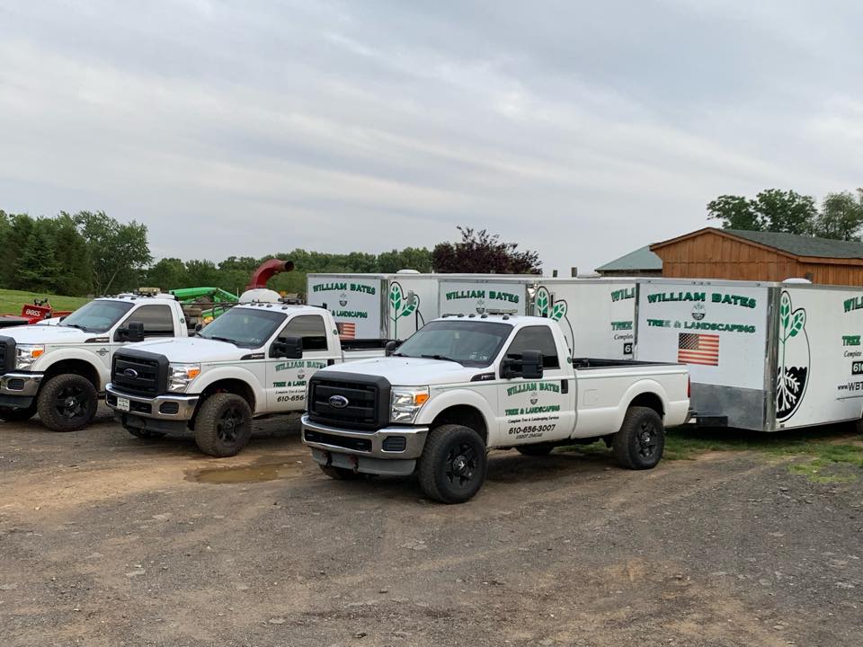 William Bates Tree Service PA