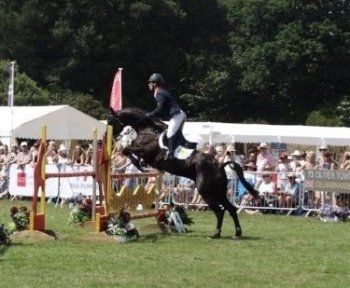 horse health
