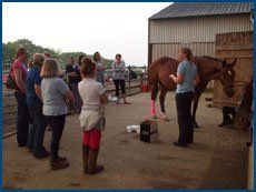 facilities for horses
