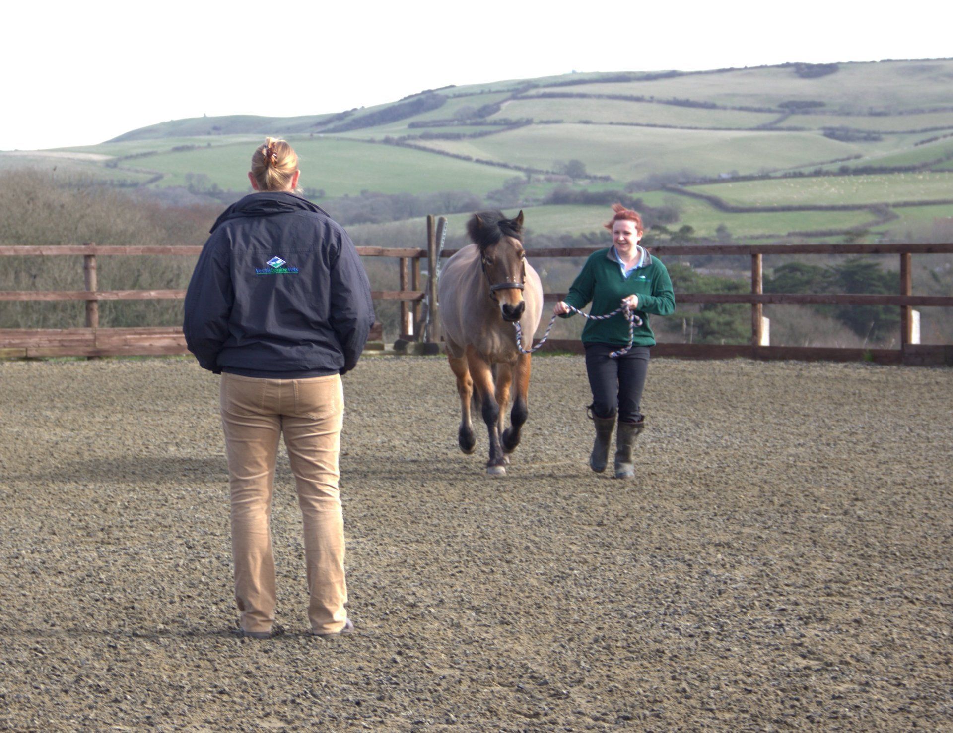 equine services