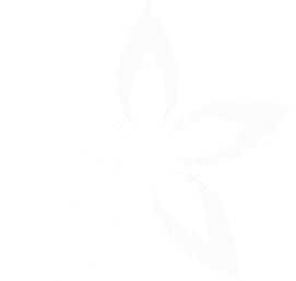 Colours Beauty Salon logo