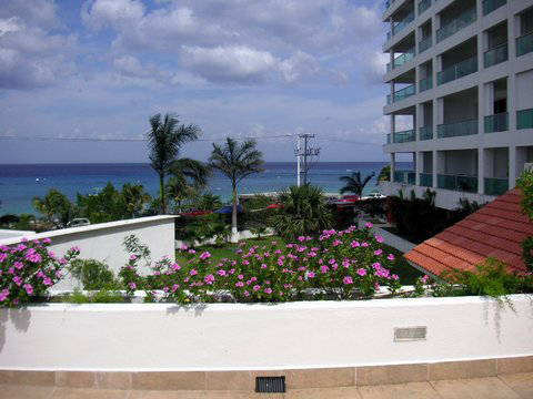 Garden — Scuba Diving Vacations in Colleyville, TX