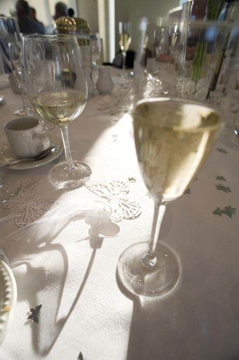 To the happy couple Champagne glass for wedding reception toast.