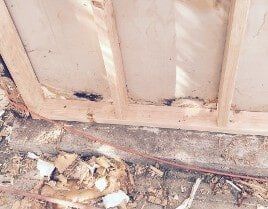 Termite Damage Termite Damage