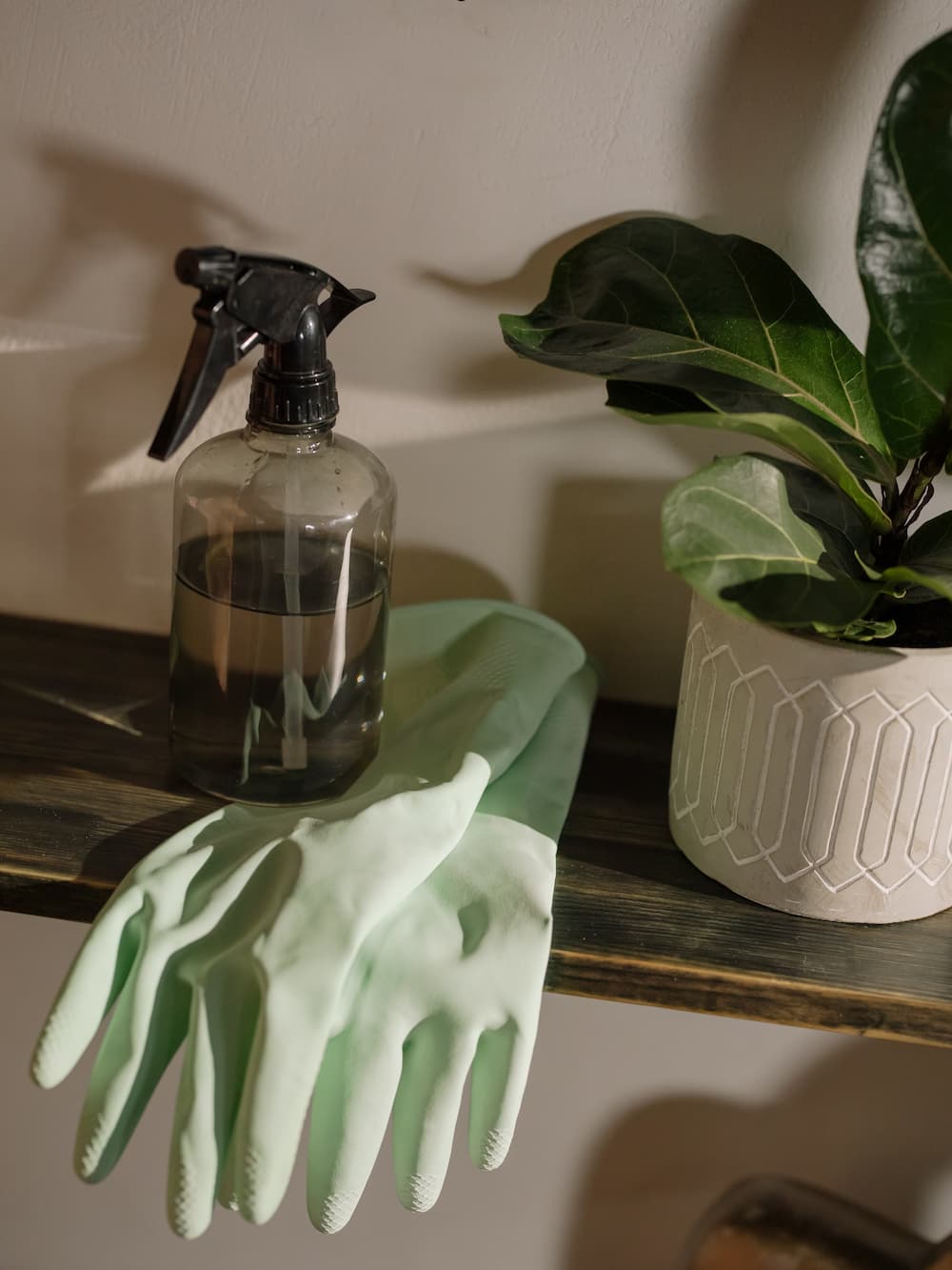 Gloves and Spray Bottle — DS Cleaning Services in Sunshine Coast, QLD