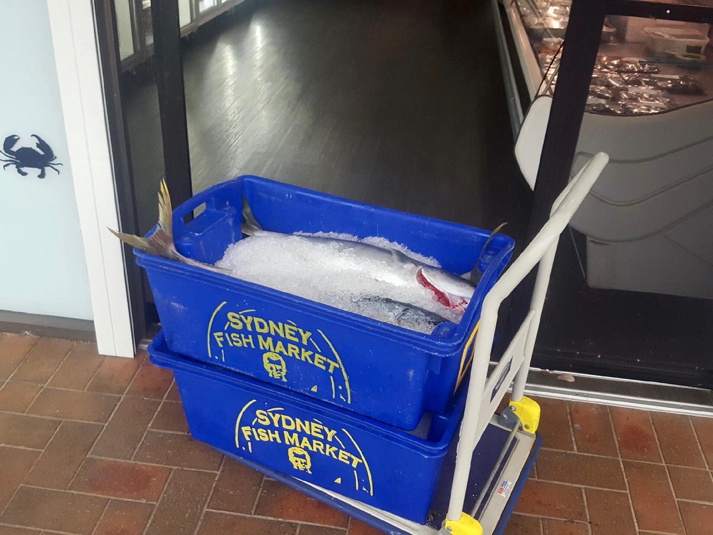 Salmand fish are avilable in sydney fish market