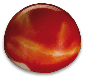 Ottucan Praline