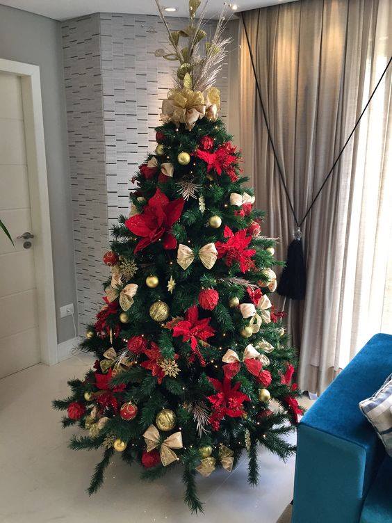 cho thue cay thong noel