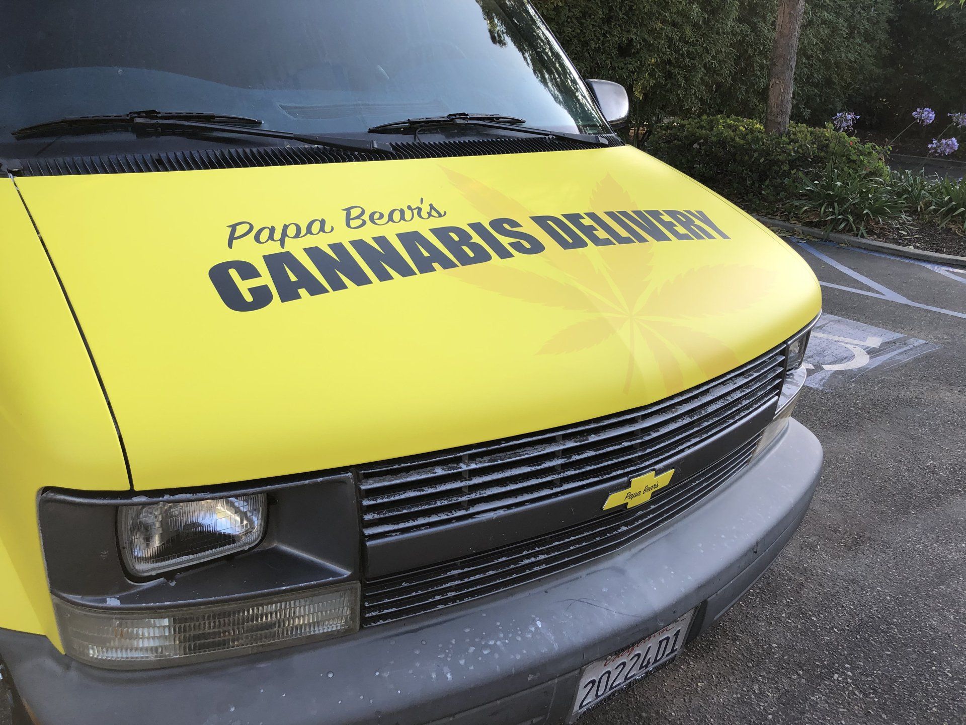 Yellow truck hood with “Cannabis” lettering and a Chevrolet emblem on the grille