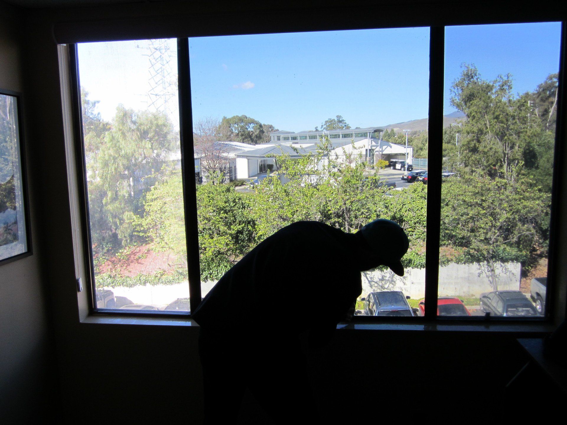 Silhouetted person leaning by a window, looking out at a bright suburban view.