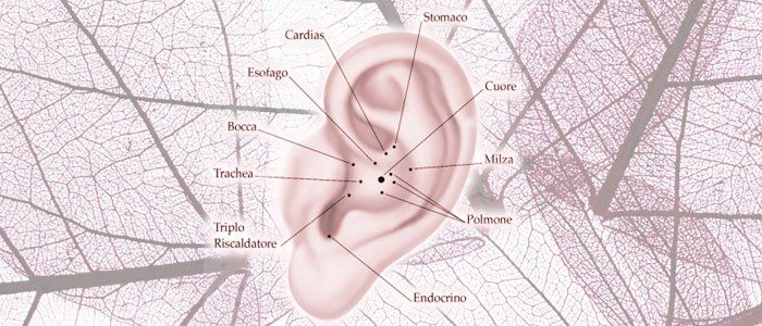 Uno schema dell'orecchio di una persona con una mappa sullo sfondo.