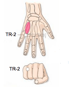 Uno schema di una mano e di un pugno che mostra la posizione del punto tr-2.