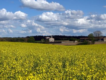 our-beautiful-countryside
