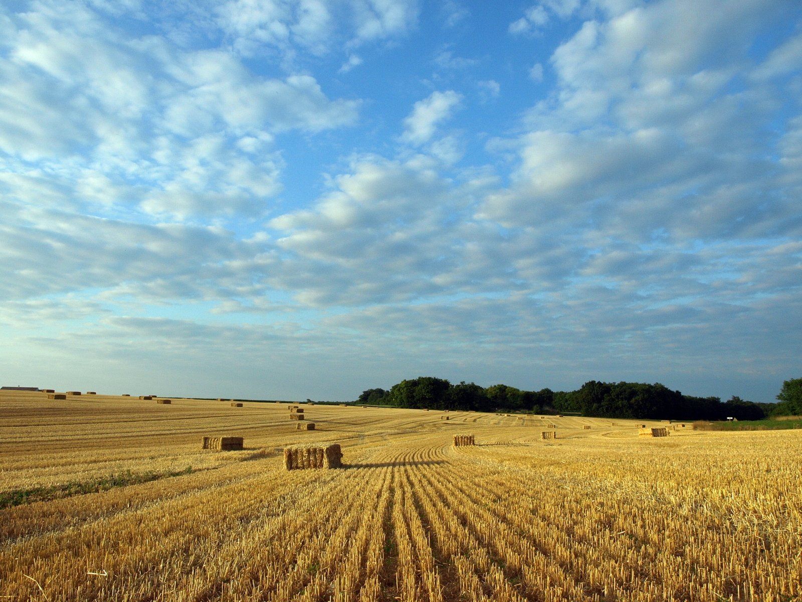 Beautiful countryside setting