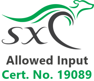 SX Allowed Input