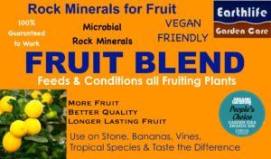 Fruit Blend
