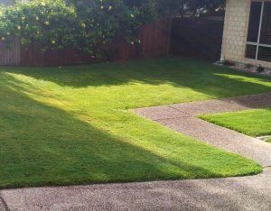 Lawn — Earthlife Products in Townsville, QLD