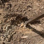 Soil — Earthlife Products in Townsville, QLD