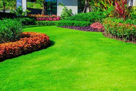 Colourful plain garden — About Us in Jensen, QLD Colourful plain garden — About Us in Jensen, QLD