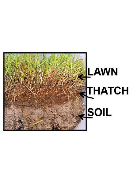 Parts of soil — Garden Care in Townsville, QLD