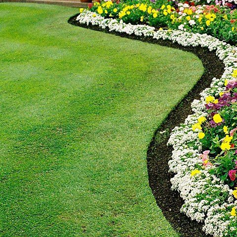Beautiful flower garden — Garden Care in Townsville, QLD