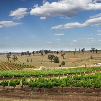 Farm soil field — Garden Care in Townsville, QLD