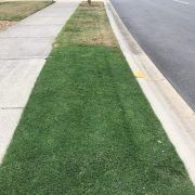 Lawn — Earthlife Products in Townsville, QLD