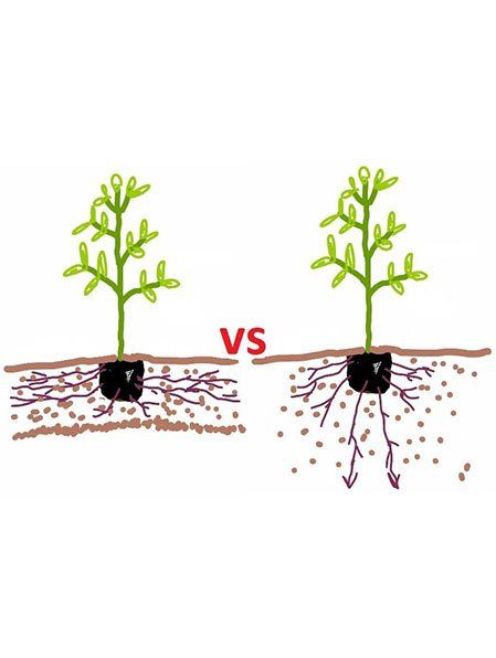 Different spread of soil — Soil Balance in Townsville, QLD Different spread of soil — Soil Balance in Townsville, QLD