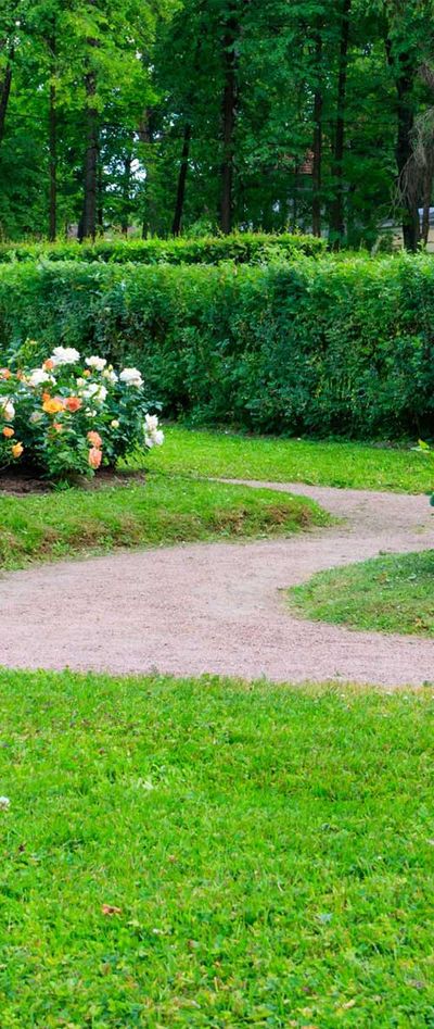Curve garden pathway — Testimonials in Townsville, QLD Curve garden pathway — Testimonials in Townsville, QLD