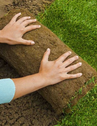 Unfolding rolled grass — Testimonials in Townsville, QLD Unfolding rolled grass — Testimonials in Townsville, QLD