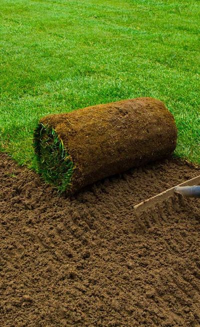 Grass raking the soil — Testimonials in Townsville, QLD Grass raking the soil — Testimonials in Townsville, QLD