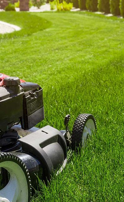 Mowed grass lawn — Testimonials in Townsville, QLD Mowed grass lawn — Testimonials in Townsville, QLD
