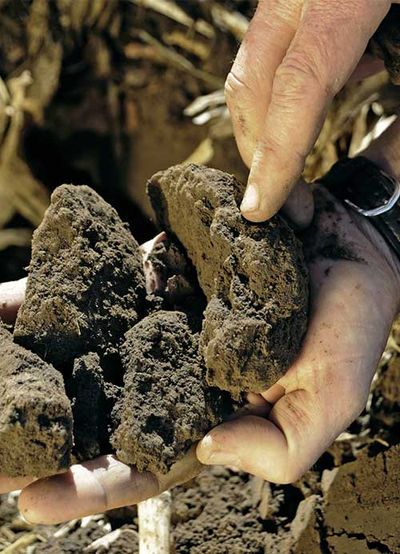 Good quality soil — Testimonials in Townsville, QLD Good quality soil — Testimonials in Townsville, QLD