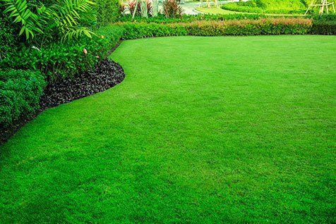 Well mowed grass and garden — Testimonials in Townsville, QLD Well mowed grass and garden — Testimonials in Townsville, QLD