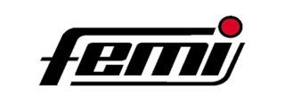 Femi