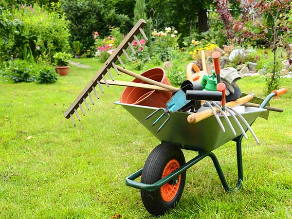 Carriola con articoli da giardino